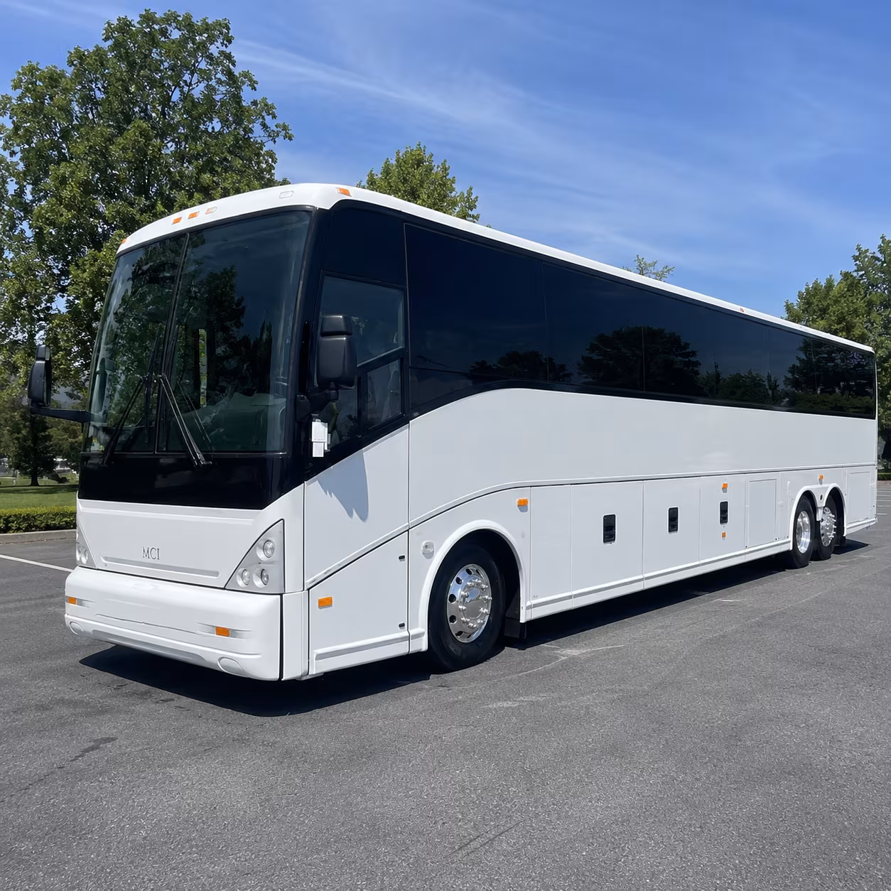 one search for your blaine group trip